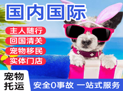 厦门高崎航空托运国际宠物托运 【国